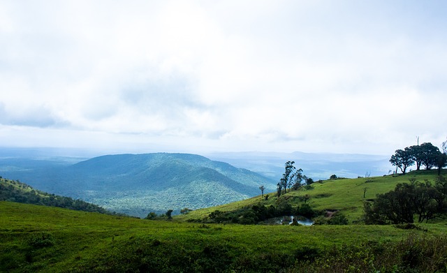 TA：尼潘外租阿贾克斯的可能已消失；曼城考虑是否留埃切韦里